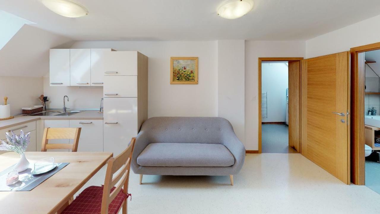 Apartmaji Pri Marodnu بوينج المظهر الخارجي الصورة